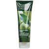 Desert Essence Green Apple & Ginger Shampoo - 8 Fl Ounce - Pack of 2 - Adds Volume, Strength & Shine - Moisturizer & Revitalizing - Coconut Oil - - Apple & Ginger Root Extract