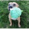 SmartPetLove Snuggle Puppy Tender-Tuffs Ball - Round Pufferfish Tough Dog Toy - Cute and Fun Plush Ball with Squeaker