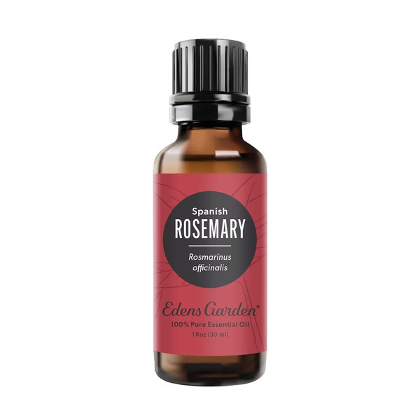 Edens Garden Rosemary- Spanish Essential Oil, 100% Pure Therapeutic Grade (Undiluted Natural/Homeopathic Aromatherapy Scented Essential Oil Singles) 30 ml