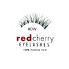 Red Cherry False Eyelashes (Pack of 10 pairs) (DW)