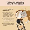 Kitsch Tea Tree Shampoo Bar Soap & Coconut Oil Hair Conditioner Bar, Clarifying Shampoo for Hair Grease, Cleansing & Moisturizing Organic Natural Soap, Zero Waste Travel Size Hair Care Set of 2 Pack
