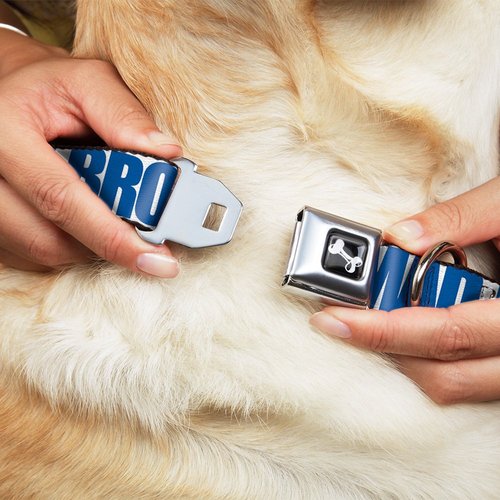 Dog Collar Seatbelt Buckle You Mad Bro White Royal 11 to 17 Inches 1.0 Inch Wide