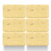 Dr Jacobs Naturals, Triple Milled Loofah Exfoliating Castile Bar Soap (Pack of 6) - Free of Parabens, Sulfates, Synthetics, Gltuen and GMO (Citrus Crush Cocktail)