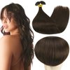 Full Shine U Tip Hair Extensions Human Hair 16 Inch Fusion Extension Human Hair U Tip Color 2 Darkest Brown Remy U Tip Hair Extensions 50g/50s Keratin U Tip Hair Extensions 1 Gram Per Strand