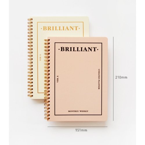 PAPERIAN Brilliant Monthly & Weekly Planner - Wirebound Undated Monthly &Weekly Planner Book Scheduler Diary (Grey Sky)