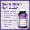 New Chapter Calcium Supplement - Bone Strength Tiny Tabs Organic Red Marine Algae Calcium - with Magnesium, Vitamin D3+K2, 70+ Trace Minerals for Bone Health, Gluten Free, Easy to Swallow - 120 ct