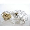 Generic Shiny gold or silver shell pearl star alligator hair claw clip clamp (Primary color: Gold)
