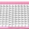 Premade Volume Eyelash Extensions 6D-C-0.07-12 Short Stem Premade Fans Eyelash Extensions 9 to 20 mm Volume Lash Extensions .07 .10 Pre made Lash Fans C D Curl (6D-C-0.07,12mm)