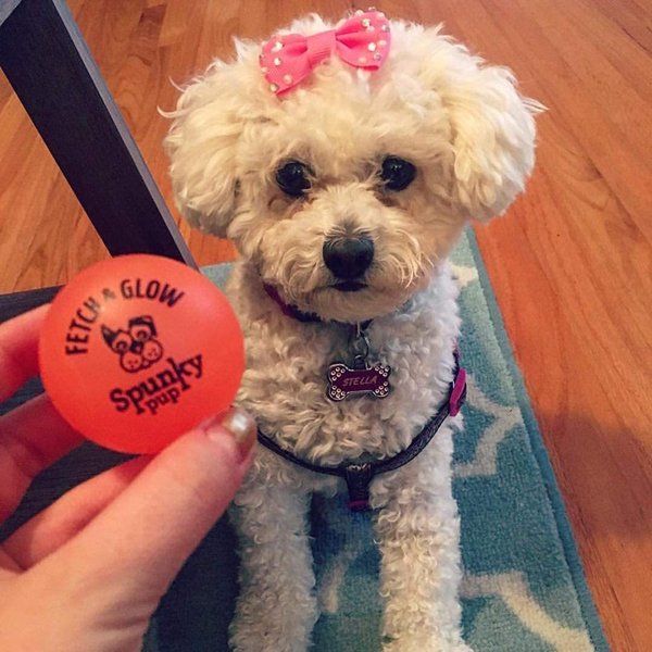 Spunky pup 6 Pack of Fetch & Glow Dog Toy Balls, Small 1.75 Inch, Assorted Colors