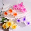 AMCAMI 4 Pcs Flower Hair Clips Hair Clips for Women Claw Clips for Thick Hair Hair Claw Clips Hair Clips for Thin Hair Beach Accessories for Women Cute Hair Clips Hawaiian Flower Hair Clips Hair Claw