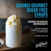 DaVinci Gourmet Sugar Free Chai Tea Concentrate, 25.4 Fl Oz (Pack of 1)