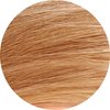 Tints of Nature 8N Natural Light Blonde Permanent Hair Dye, Nourishes Hair and Covers Greys, Ammonia-Free, 130ml