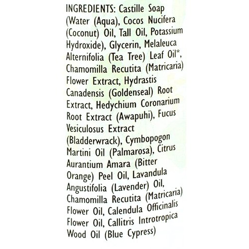 Trader Joe's Spa Face Wash with Tea Tree Oil (2 Packs)