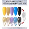 15ml Soak Off 9D Wide Cat Eye Gel Nail Polish Bright Silver UV Magnetic Gel Polish Enamel Lacquer Glitter Velvet Nail Art Varnish