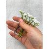 Set of 5 Baby breath bridal hair pins wedding piece tiny flower hairpiece