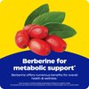 Enzymedica Berberine 800 mg – Vegan Capsules for Metabolic Support – from Sustainably Sourced Barberry – Non-GMO, Gluten-Free, No Fillers or Excipients – 60 Capsules