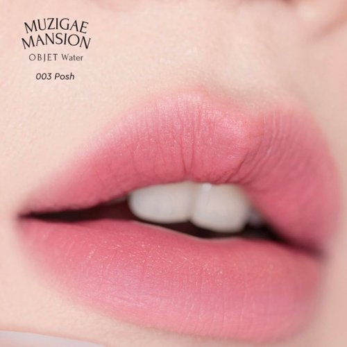 MUZIGAE MANSION Objet Water Makeup Soft Matte Vegan Lip Tint (POSH)