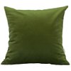 TangDepot Solid Velvet Throw Pillow Cover/Euro Sham/Cushion Sham, Super Luxury Soft Pillow Cases, Many Color & Size Options - (24"x24", Kiwi)