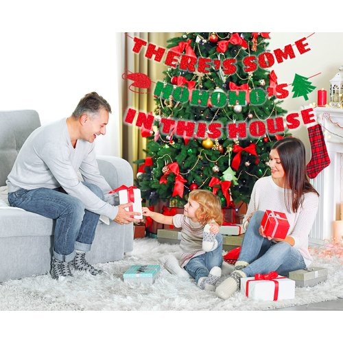THERE'S SOME HOHOHO'S IN THIS HOUSE Glitter Funny Christmas Banner Funky Holiday Decorations for Party Home Office Fireplace Mantel Birthday Naughty Xmas Sign, Red & Green