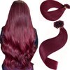 KiiKiiGirl Virgin U Tip Hair Extensions -U Tip Hair Extensions Human 99# U Tip Hair Extensions Human Hair, U Tip Hair Extensions Real Human Hair,U Tip Extensions Human 14 Inch 30g/pack