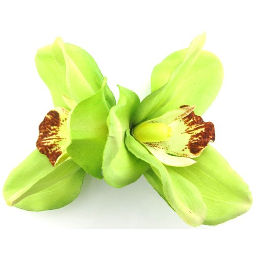 Double Lime Green Orchids Silk Flower Hair Clip with Teeth