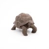 Papo Galapagos Tortoise Toy Figure