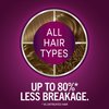 Schwarzkopf Keratin Color Permanent Hair Color, 7.5 Caramel Blonde, 1 Application - Salon Inspired Permanent Hair Dye, for up to 80% Less Breakage vs Untreated Hair and up to 100% Gray Coverage