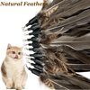CATDABIR Cat Feather Toys Refills Da Bird Cat Toy, 10 PCS Natural Feather Da Bird Refills, Cat Wand Replacement Feathers for Cat Toys