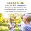 Cellfood Liquid Concentrate, 1 oz. - Original Oxygenating Immune Support Formula - Seaweed Sourced Minerals, Enzymes, Amino Acids, Electrolytes - Gluten Free, Non-GMO, Certified Kosher