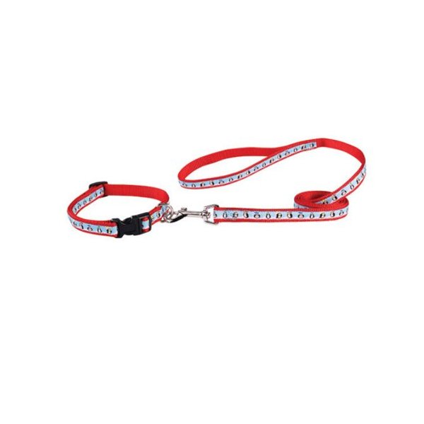 Zack & Zoey Nylon Season's Greetings Collar and Lead Set, Penguins On Ice, 18 to 26-Inch