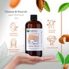 HBNO Organic Almond Oil - 16 OZ (475 ml) Value Size - Natural Almond Oil, Cold Pressed - Perfect Carrier Oil for Massage, Aromatherapy, DIY, Soap Making, Face, Body, Lips, Hair, Nails