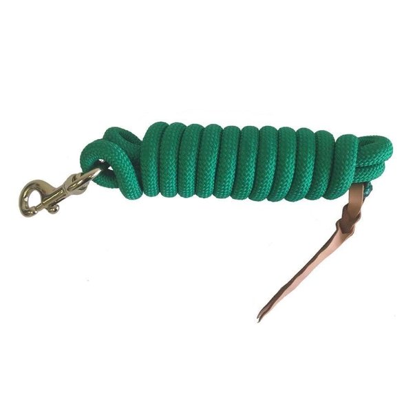 Cowboy Nylon Horse Lead Rope with Leather Popper 10' x 5/8" Turquoise