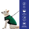 Gooby Fashion Vest Dog Jacket - Green, Small - Warm Zip Up Dog Bomber Vest with Dual D Ring Leash - Winter Water Resistant Small Dog Sweater - Dog Clothes for Small Dogs Boy or Medium Dogs