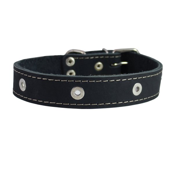 Genuine Leather Studded Dog Collar, Black, 1.5" Wide. Fits 16.5"-20.5" Neck Size Amstaff