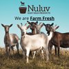 Nuluv Goat Milk Body Lotion Soothing for Hands and Body, Soft, Healthy Skin 6 Ounce 2-Pack Cruelty-Free and Paraben-Free, Made in USA