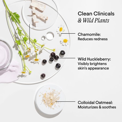 Alpyn Wild Huckleberry Recovery Peel | Reduce Redness, Actively Exfoliate Skin, Moisturizer & Soothes | 1.7 oz / 50 ml