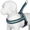 Blueberry Pet 6 Colors Soft & Comfy Jacquard Padded Dog Harness, Chest Girth 21.5" - 27.5", Teal Blue, S/M, Reflective Adjustable Harnesses for Dogs