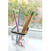 Ticonderoga Envirostik Wood-Cased Pencils, 2 HB Soft, Natural, 12 Count