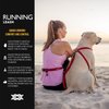 EzyDog Road Running Best Hands-Free Walking, Jogging, and Running Zero Shock Bungee Dog Leash - Reflective Stitching and Adjustable Waist Belt - Provides Superior Comfort, Safety, Control (Black)