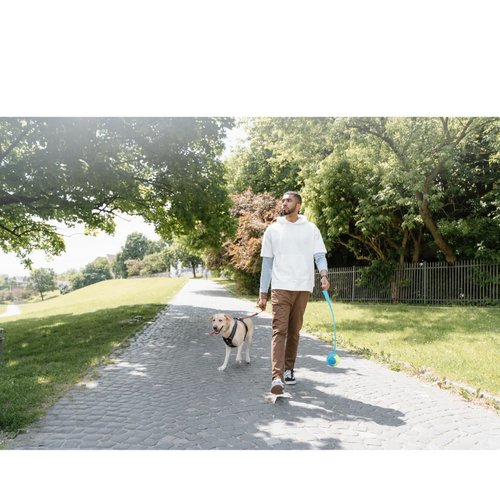 SOL MAR Ball Launchers with Tennis Balls - Blue Dog Training Tools Fetching, 21x4x2 in., Fun Outside Active