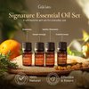 Gya Labs Signature Essential Oil Set, Essential Oils for Home - Diffusion, Self-Care, Skin, DIY - Peppermint, Lavender, Orange, Tea Tree, Vanilla, Rosemary, Lemongrass, Frankincense - 8 x 0.17 fl oz
