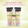 John Frieda Sheer Blonde Go Blonder Shampoo and Conditioner Set for Blonde Hair, Lightening Shampoo and Conditioner with Citrus and Chamomile, featuring our BlondMend Technology, 8.3 oz (2 Pack)