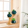 XXXFLOWER Bamboo Plant Stand ,3 Tiers Indoor Succulent Windowsill Shelf - Small Tabletop Plant Holder for Home, Office, Living Room, Bedroom Decoration 1pc