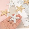 Framendino, 8 Pack Starfish Hair Clip Mermaid Hairpin Beach Sea Hair Pins for Girls Women Gold Silver