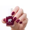 ella+mila Professional Nail Polish - Quick Dry Nail Polish - Long-Lasting & Chip-Resistant Nail Polish (Elite Collection A - In Line for Wine - 0.45 fl oz each)