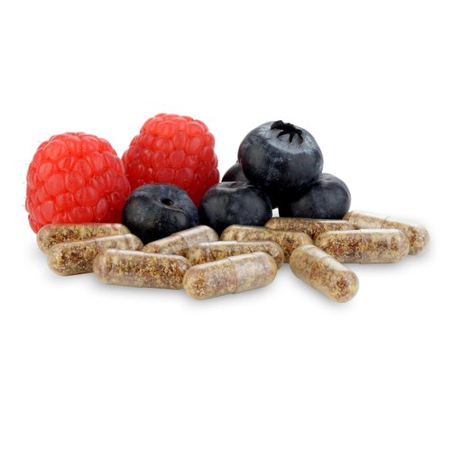 Equilibrium Probiotic Supplement with Prebiotic – Daily Time Release – 30 Easy to Swallow Capsules – Highest Strain Count in The World – 115-Strains