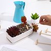 HEALLILY 8pcs Mini Zen Garden Rake Tabletop Rock Garden Sandbox Tools Kits Japanese Desktop Meditation Sand Box Accessories