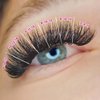 Eyesy Lash 500 Camellia Lash Extensions | 5D 0.07 Size 8-10-12mm Curl CC | American Volume Lash Multiple Lengths Eyesy Eyelash Extension Pestanas Pelo A Pelo Create Depth, Textured, Layered Effect