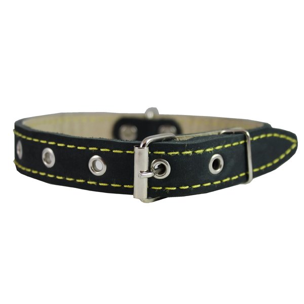Real Leather Dog Collar 11"-15" Neck Size, 3/4" Wide, Medium Breeds