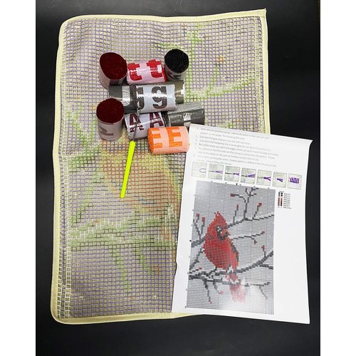 PakyKai Latch Hook Rug Kit for Adults Red Cardinal Crocheting Carpet Rug Yarn Sofa Cushion Mat Tapestry DIY Carpet Arts Crafts,20.5X15 Inch